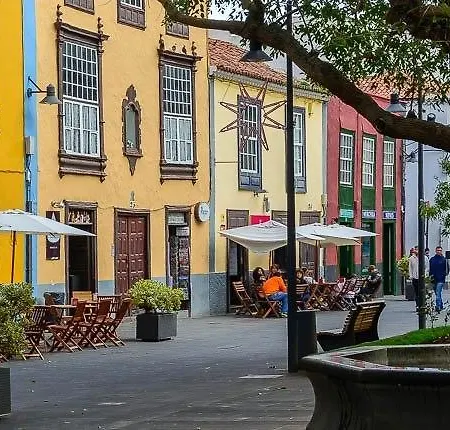 Live La Laguna Maya * La Laguna (Tenerife)